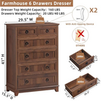 Walnut 6-Drawer